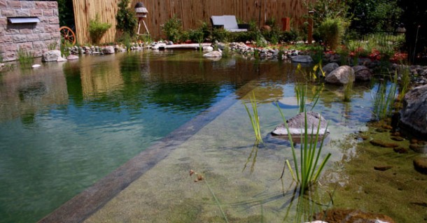 familienrfreundlicher-urlaub-im-reethus-teich-2